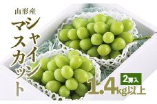 山形市産 シャインマスカット 秀 2房 1.4kg以上 【令和7年産先行予約】FU18-232 くだもの 果物 フルーツ 山形 山形県 山形市 2025年産