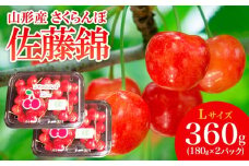 山形産 さくらんぼ 特選 佐藤錦 L 360g(180g×2パック入) 【令和8年産先行予約】FS25-503 くだもの 果物 フルーツ 山形 山形県 山形市 2026年産