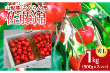 山形産 さくらんぼ 佐藤錦 L 1kg(500g×2パック入) 【令和7年産先行予約】FU18-863 くだもの 果物 フルーツ 山形 山形県 山形市 2025年産