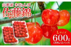 山形産 さくらんぼ 佐藤錦 L 600g(300g×2パック入) 【令和8年産先行予約】FS25-506 くだもの 果物 フルーツ 山形 山形県 山形市 2026年産
