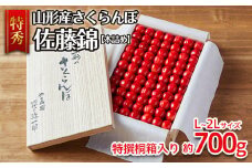 山形産 さくらんぼ 佐藤錦 特秀 本詰め L～2L(約700g)特撰桐箱入り 【令和7年産先行予約】FS24-591くだもの 果物 フルーツ 山形 山形県 山形市 2025年産