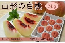 山形の白桃3kg(5～13玉)Bコース[柔らかくなる品種・果肉やや硬め] 【令和7年産先行予約】FS24-564くだもの 果物 フルーツ 山形 山形県 山形市 2025年産