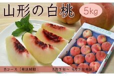 山形の白桃 5kg(10~16玉)Bコース(柔らかくなる品種・果肉やや硬め) 【令和7年産先行予約】FS24-566くだもの 果物 フルーツ 山形 山形県 山形市 2025年産