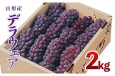 山形市産　デラウェア 2kg(10～12房) 【令和7年産先行予約】FU18-923 くだもの 果物 フルーツ 山形 山形県 山形市 2025年産