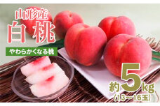 山形産白桃約5kg(13～16玉)[やわらかくなる桃] 【令和7年産先行予約】FU19-328 くだもの 果物 フルーツ 山形 山形県 山形市 2025年産