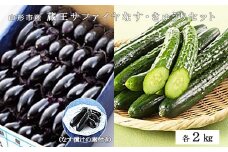 山形市産 蔵王サファイヤなす2kg ・きゅうり2kgセット  FZ19-193