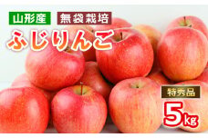 山形産 無袋栽培 ふじりんご 特秀 5kg (13～20玉) FY25-816