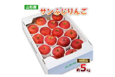 山形のサンふじりんご 特秀品 約5kg(10～25玉) FZ19-137