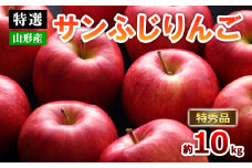 【特選】山形のサンふじりんご 約10kg 特秀品(20～50玉) FZ19-141