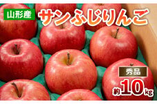 山形のサンふじりんご 約10kg 秀品(20～50玉) FZ19-140