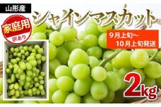 【ご家庭用】シャインマスカット 2kg入り 1箱 [前半] 【令和7年産先行予約】FU19-485 くだもの 果物 フルーツ 山形 山形県 山形市 2025年産