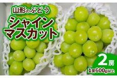 山形のぶどう シャインマスカット 2房(1房600g以上) 【令和7年産先行予約】FU19-729 フルーツ くだもの 果物 山形 山形県 山形市 ぶどう 葡萄 ブドウ