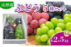 山形市産 ぶどう 5種セット 約2.5kg 【令和7年産先行予約】FU19-695 くだもの 果物 フルーツ 山形 山形県 山形市 2025年産