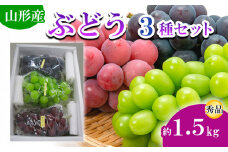 山形市産ぶどう 3種セット 秀 約1.5kg (9月発送) 【令和7年産先行予約】FS24-663くだもの 果物 フルーツ 山形 山形県 山形市 2025年産