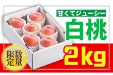 ★フルーツ王国山形★白桃秀品2kg[かため系品種] FS24-682