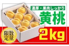 ★山形黄金色の桃★黄桃秀品2kg[柔らかくなる桃] FS24-681