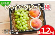 シャインマスカットと桃のセット 約1.2kg 【令和7年産先行予約】FU19-712 くだもの 果物 フルーツ 山形 山形県 山形市 2025年産