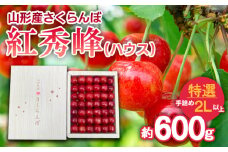 さくらんぼ 紅秀峰(ハウス)特選 手詰め 2L以上 約600g 【令和7年産先行予約】FS24-626くだもの 果物 フルーツ 山形 山形県 山形市 2025年産