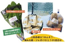 [令和7年発送予約]山形赤根ほうれんそう・凍み大根・ジャガイモ（とうや）詰合せ【思いやり型返礼品】 FZ19-522