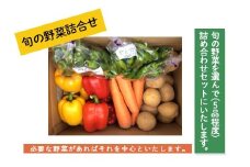旬の野菜詰合せ【思いやり型返礼品】 FZ19-523