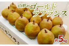 山形のゴールドラフランス 約5kg(3L～6L)10～16玉 FZ22-074