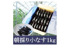 やまがたの朝採り漬物用小なす1kg 漬物の素付き FZ20-172
