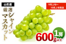 厳選シャインマスカット 秀品 600g以上 1房  [前半] 【令和7年産先行予約】FS24-604くだもの 果物 フルーツ 山形 山形県 山形市 2025年産