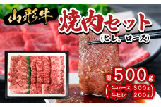 山形牛焼肉セット500g(ヒレ、ロース) 牛肉 肉 山形県 山形市 食品 ヒレ ロース 焼肉 高橋畜産 FZ20-009