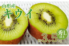 山形産 キウイ 秀品 L以上 約3.5kg(20～30玉) FZ20-067
