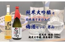 純米大吟醸と日本酒で仕込んだ梅酒セット 男山 FZ20-048 山形 山形県 山形市 日本酒