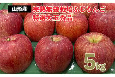 完熟無袋栽培ふじりんご 特選大玉秀品5kg入り FY25-900