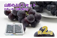 山形のぶどうセット 秀品 約2kg(ピオーネ1kg2房前後・巨峰1kg2房前後)[8月中旬～9月中旬お届け] 【令和7年産先行予約】FS24-571くだもの 果物 フルーツ 山形 山形県 山形市 2025年産