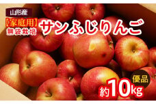 【家庭用】無袋栽培ふじりんご 優品 約10kg入り りんご リンゴ 林檎 フルーツ 果物 くだもの 10キロ 送料無料 山形  FY25-901
