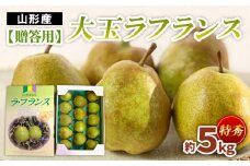 【贈答用】大玉ラフランス 特秀品 約5kg FZ22-936