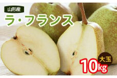 山形のラ・フランス 大玉 約10kg(20～28玉・サイズ4L～6L) FZ20-674