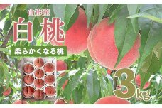 山形市産 桃 秀3kg(5～13玉)[柔らかくなる桃] 【令和7年産先行予約】FU20-062 くだもの 果物 フルーツ 山形 山形県 山形市 2025年産