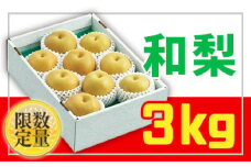 ★フルーツ王国山形★和梨 秀品3kg 【令和7年産先行予約】FU20-063 くだもの 果物 フルーツ 山形 山形県 山形市 2025年産