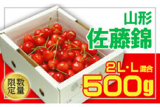 ★旬大粒★山形さくらんぼ 佐藤錦 500g☆2L・L混合サイズバラ詰【令和7年産先行予約】FU20-064 くだもの 果物 フルーツ 山形 山形県 山形市 2025年産