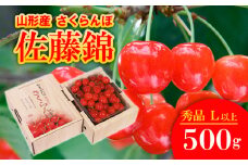 さくらんぼ 佐藤錦 Lサイズ 500g 【令和7年産先行予約】FU20-046 くだもの 果物 フルーツ 山形 山形県 山形市 2025年産