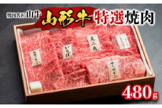 焼肉名匠山牛特選焼肉 480g FY23-127 ブランド牛肉  焼肉用 山形県 山形市