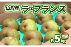 ラ・フランス 約5kg 秀品 (10～16玉) 3L～6L [11月発送] FY25-831