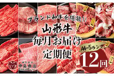 【定期便12回】ブランド和牛を堪能‼山形牛毎月お届け定期便 FY20-776 ブランド牛肉 ステーキ肉 すき焼き用牛肉 しゃぶしゃぶ牛肉  焼肉用 山形県 山形市