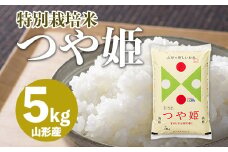 つや姫 5kg【特別栽培米】 FZ20-781 ブランド米 山形県 山形市