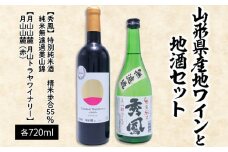 山形県産地ワインと地酒セット 720ml×2本 FZ23-219 山形 山形県 山形市 ペアリング