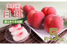 山形産白桃 小玉サイズ 約5kg(18～22玉)[柔らかくなる桃] 【令和7年産先行予約】FU21-159 くだもの 果物 フルーツ 山形 山形県 山形市 2025年産