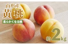 山形産 黄色い桃(有袋・無袋)2kg(5～10玉)[柔らかくなる桃] 【令和7年産先行予約】FU21-166 くだもの 果物 フルーツ 山形 山形県 山形市 2025年産