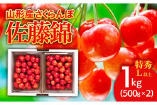 さくらんぼ 佐藤錦1kg(500g×2) 特秀 L以上 バラ詰め 【令和7年産先行予約】FU21-172 くだもの 果物 フルーツ 山形 山形県 山形市 2025年産