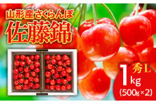 さくらんぼ 佐藤錦1kg(500g×2) L バラ詰め 【令和7年産先行予約】FU21-173 くだもの 果物 フルーツ 山形 山形県 山形市 2025年産