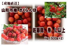 やっぱり 山形産 さくらんぼ 佐藤錦 L以上 1kg (500g×2)  【令和7年産先行予約】FU22-938 くだもの 果物 フルーツ 山形 山形県 山形市 2025年産