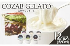 COZAB GELATO 12個セット FZ23-194 アイスクリーム ジェラート 山形県 山形市